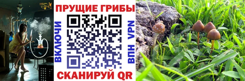 купить наркоту  Фрязино  OMG ссылка  Галлюциногенные грибы GOLDEN TEACHER 